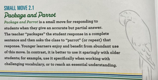 Oral Corrective Feedback in Secondary Classrooms – Seidlitz Education